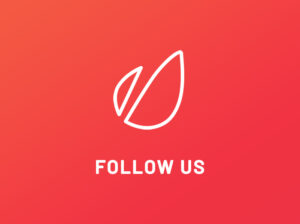 folllow