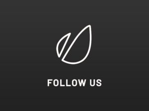 folllow1